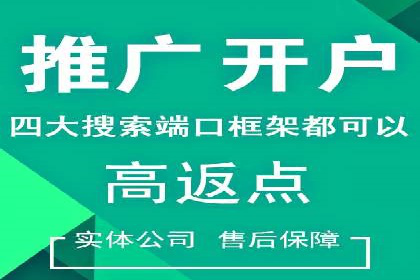 百度竞价推广实战：案例分析与优化策略