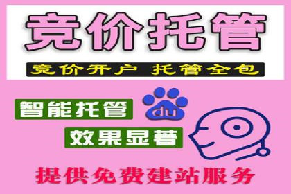 SEM代理如何助力企业实现ROI最大化